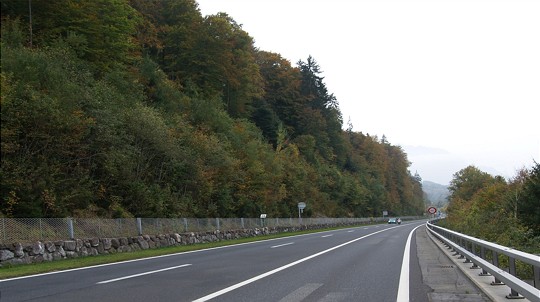  A8 Bereich der Sicherheitsholzerei 